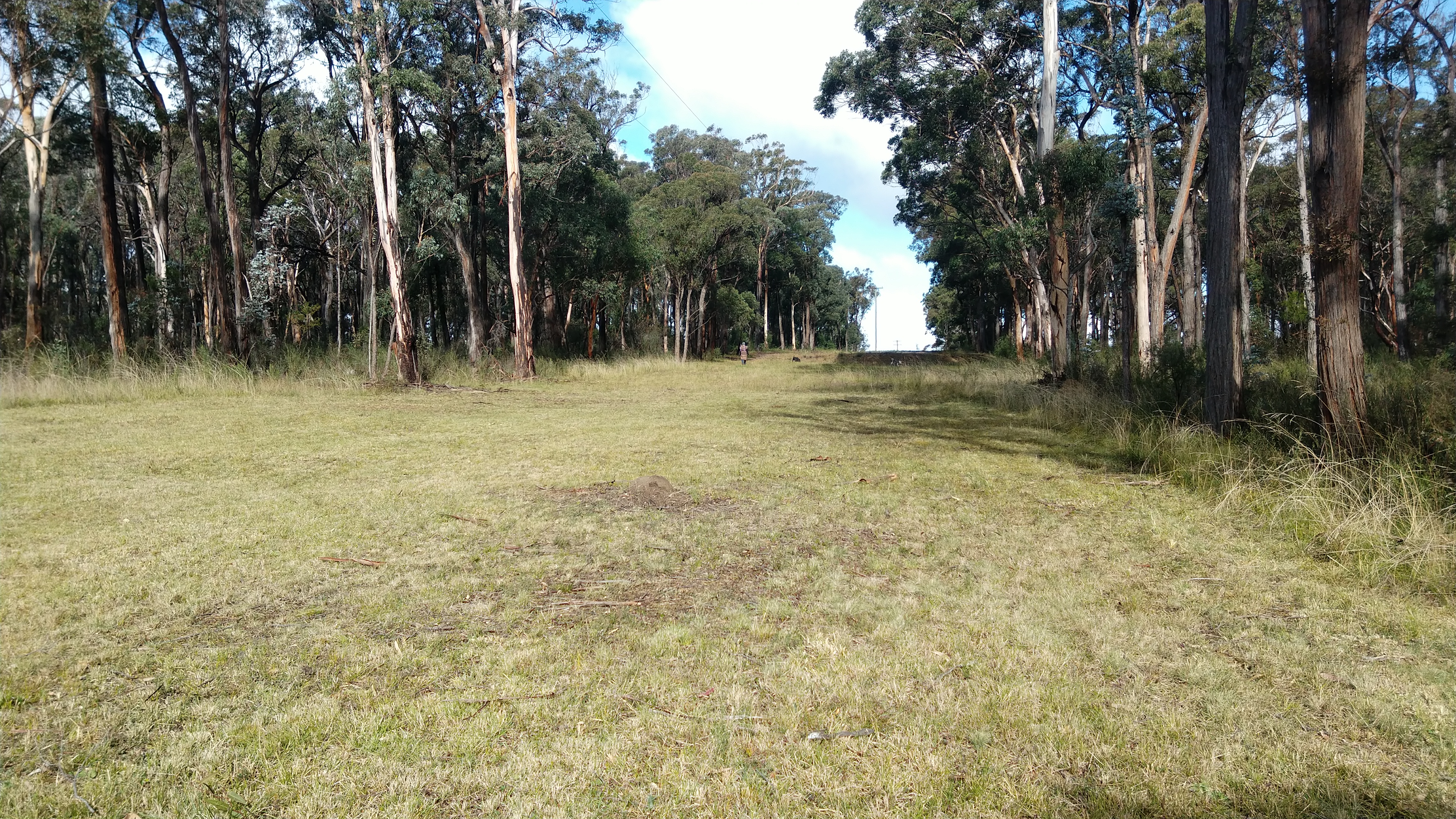 Cleared Area