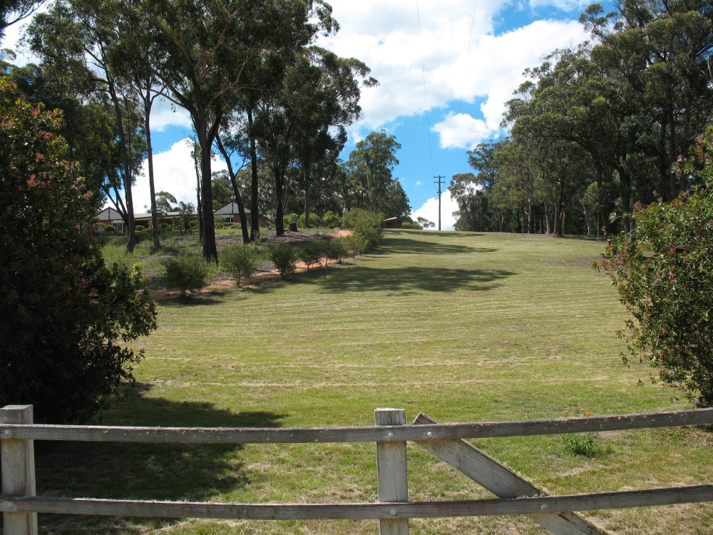 Mowed AreaE
