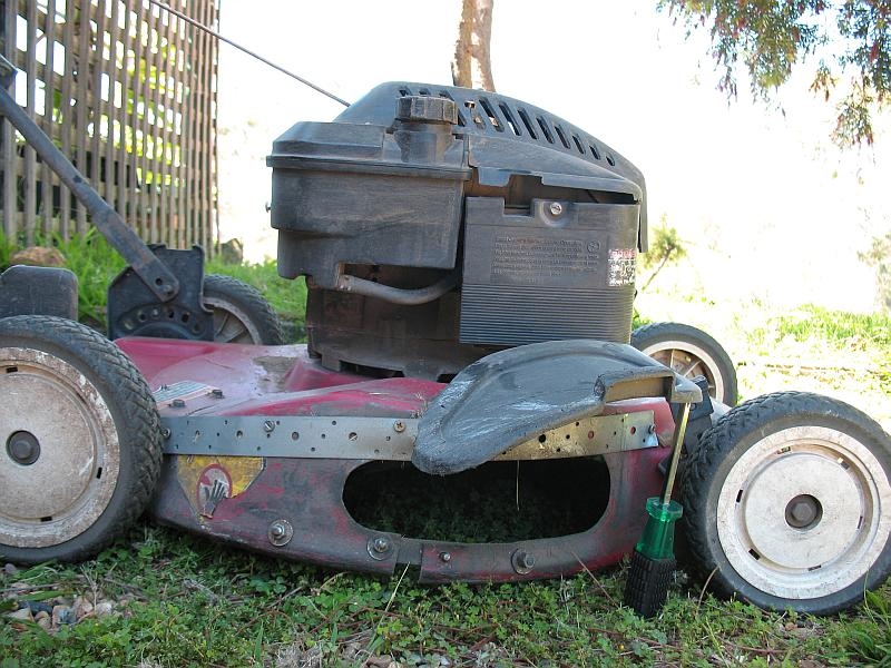 Toro with repairs